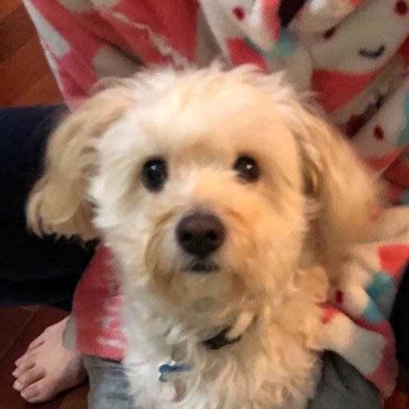 Meet your Posher, Dasom - Picture 1 of 1